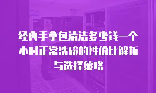 经典手拿包清洁多少钱一个小时正常洗碗的性价比解析与选择策略
