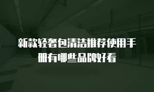 新款轻奢包清洁推荐使用手册有哪些品牌好看