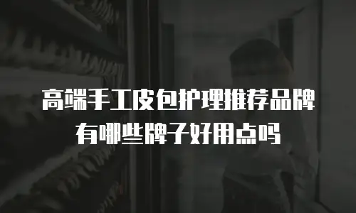 高端手工皮包护理推荐品牌有哪些牌子好用点吗