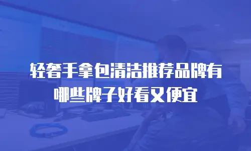 轻奢手拿包清洁推荐品牌有哪些牌子好看又便宜