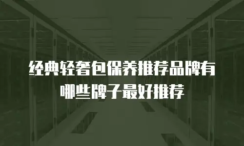 经典轻奢包保养推荐品牌有哪些牌子最好推荐