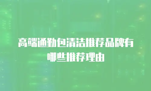 高端通勤包清洁推荐品牌有哪些推荐理由