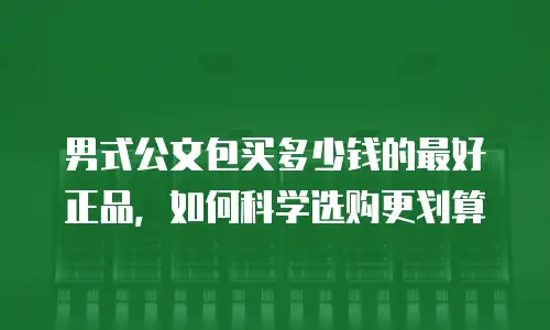 男式公文包买多少钱的最好正品，如何科学选购更划算