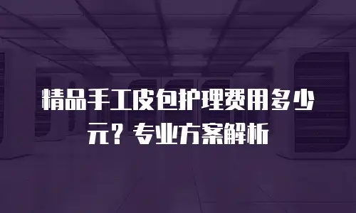 精品手工皮包护理费用多少元？专业方案解析