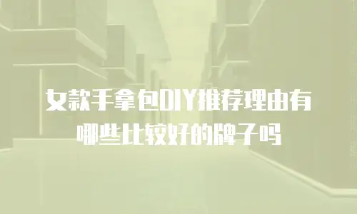 女款手拿包DIY推荐理由有哪些比较好的牌子吗