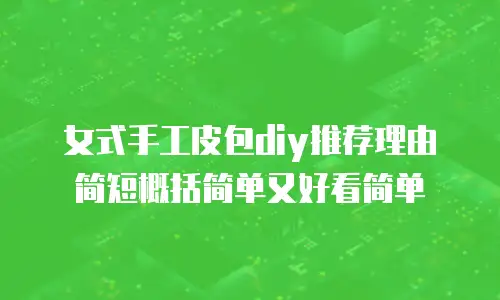 女式手工皮包diy推荐理由简短概括简单又好看简单