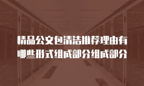 精品公文包清洁推荐理由有哪些形式组成部分组成部分