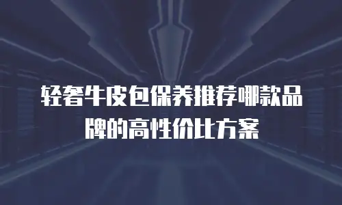 轻奢牛皮包保养推荐哪款品牌的高性价比方案