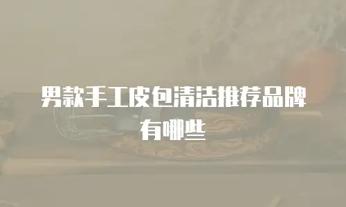 男款手工皮包清洁推荐品牌有哪些