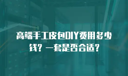 高端手工皮包DIY费用多少钱？一套是否合适？