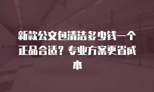 新款公文包清洁多少钱一个正品合适？专业方案更省成本