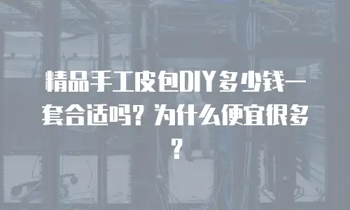 精品手工皮包DIY多少钱一套合适吗？为什么便宜很多？