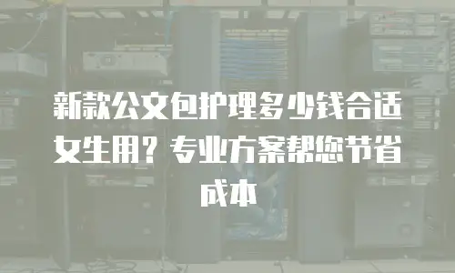 新款公文包护理多少钱合适女生用？专业方案帮您节省成本