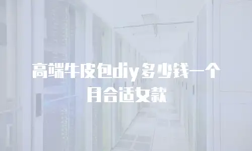 高端牛皮包diy多少钱一个月合适女款
