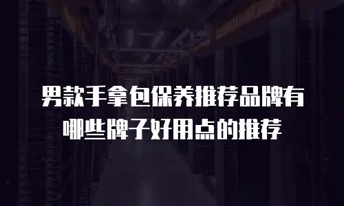 男款手拿包保养推荐品牌有哪些牌子好用点的推荐