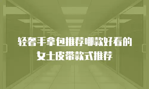 轻奢手拿包推荐哪款好看的女士皮带款式推荐
