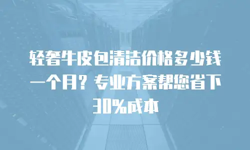 轻奢牛皮包清洁价格多少钱一个月？专业方案帮您省下30%成本