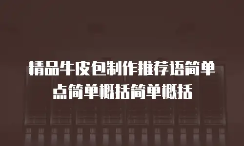 精品牛皮包制作推荐语简单点简单概括简单概括