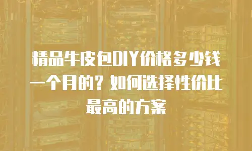 精品牛皮包DIY价格多少钱一个月的？如何选择性价比最高的方案