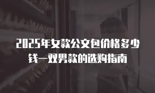 2025年女款公文包价格多少钱一双男款的选购指南
