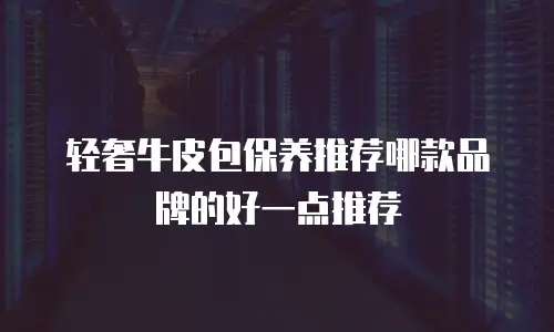 轻奢牛皮包保养推荐哪款品牌的好一点推荐