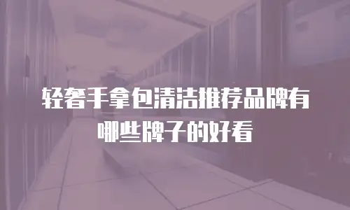 轻奢手拿包清洁推荐品牌有哪些牌子的好看