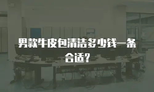 男款牛皮包清洁多少钱一条合适？