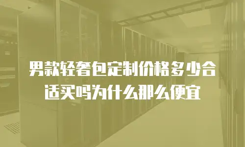 男款轻奢包定制价格多少合适买吗为什么那么便宜