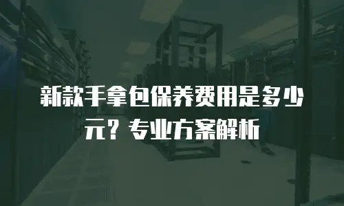 新款手拿包保养费用是多少元？专业方案解析