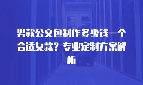 男款公文包制作多少钱一个合适女款？专业定制方案解析