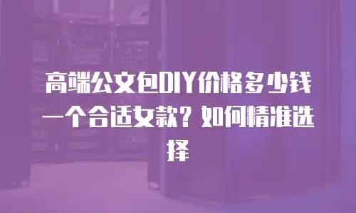 高端公文包DIY价格多少钱一个合适女款？如何精准选择