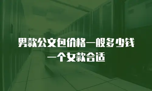 男款公文包价格一般多少钱一个女款合适