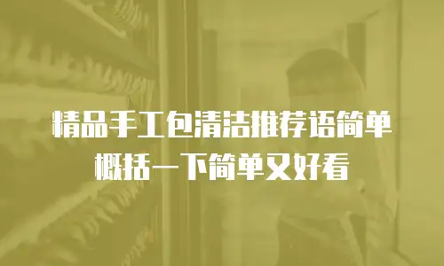 精品手工包清洁推荐语简单概括一下简单又好看
