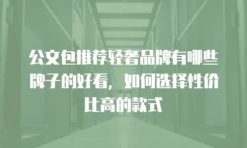 公文包推荐轻奢品牌有哪些牌子的好看，如何选择性价比高的款式