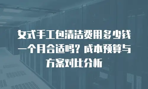 女式手工包清洁费用多少钱一个月合适吗？成本预算与方案对比分析