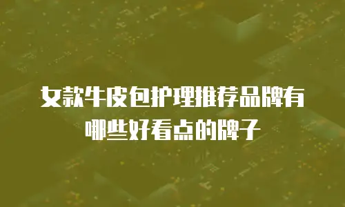 女款牛皮包护理推荐品牌有哪些好看点的牌子