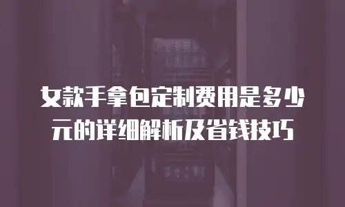 女款手拿包定制费用是多少元的详细解析及省钱技巧