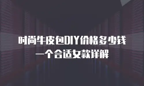 时尚牛皮包DIY价格多少钱一个合适女款详解