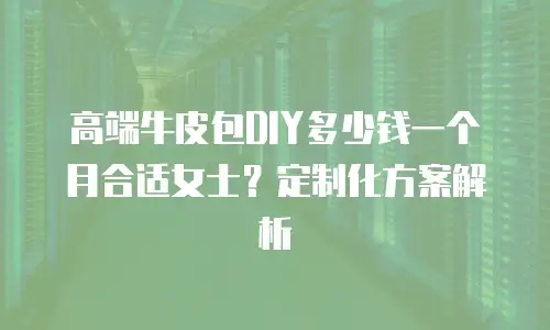 高端牛皮包DIY多少钱一个月合适女士？定制化方案解析