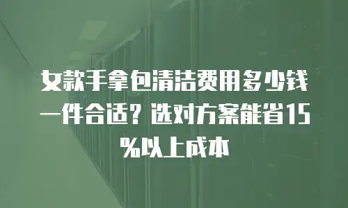女款手拿包清洁费用多少钱一件合适？选对方案能省15%以上成本