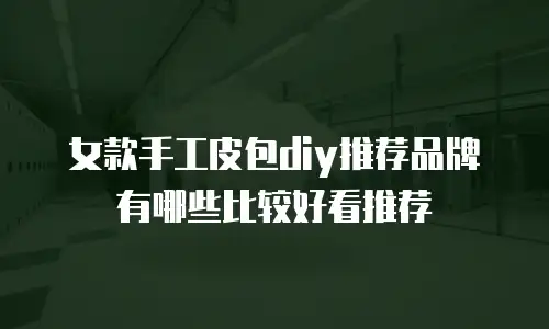 女款手工皮包diy推荐品牌有哪些比较好看推荐