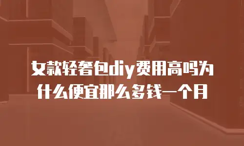女款轻奢包diy费用高吗为什么便宜那么多钱一个月