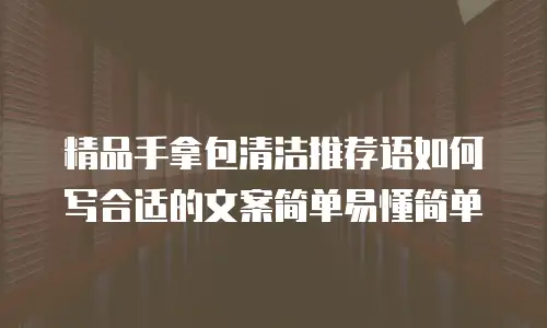 精品手拿包清洁推荐语如何写合适的文案简单易懂简单