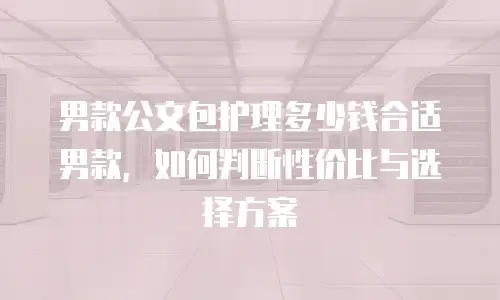 男款公文包护理多少钱合适男款，如何判断性价比与选择方案