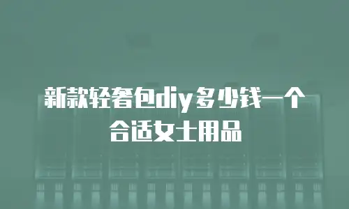 新款轻奢包diy多少钱一个合适女士用品