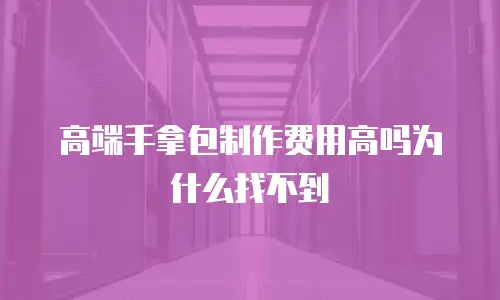 高端手拿包制作费用高吗为什么找不到