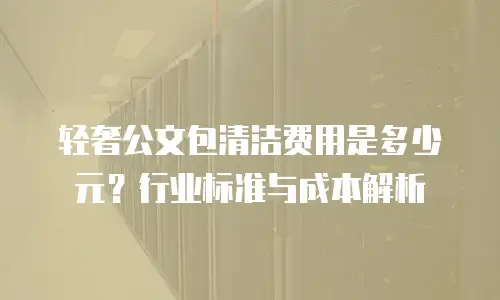 轻奢公文包清洁费用是多少元？行业标准与成本解析