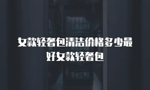 女款轻奢包清洁价格多少最好女款轻奢包