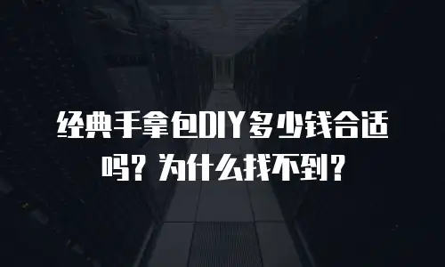 经典手拿包DIY多少钱合适吗？为什么找不到？