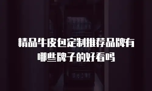 精品牛皮包定制推荐品牌有哪些牌子的好看吗